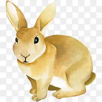手绘黄色的小兔子免抠图