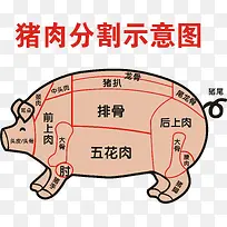 手绘猪肉分割标注图透明png