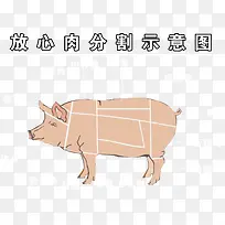 手绘猪肉分割示意图