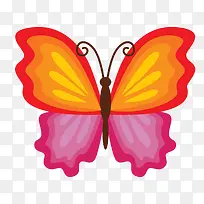 彩色的蝴蝶翅膀花纹设计
