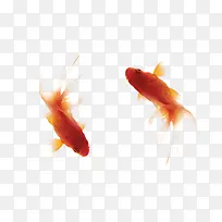两条红色水墨金鱼