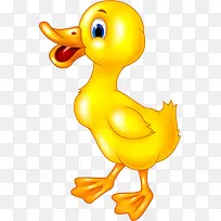 可爱黄色鸭子