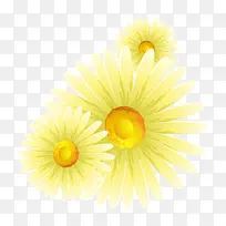 黄色精美向日葵