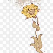 黄色花朵装饰