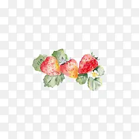 花朵树叶素材
