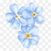 手绘蓝色唯美花朵免抠图