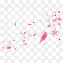 粉色花瓣