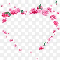 粉色唯美康乃馨花朵爱心