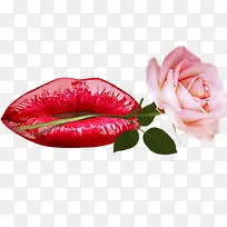 红色嘴巴叼着粉色玫瑰花