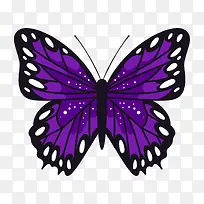 紫黑色点状昆虫蝴蝶