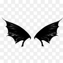 翅膀，梦幻，恐怖，黑色