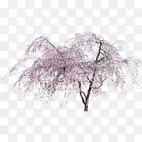 粉色桃花树木装饰图案