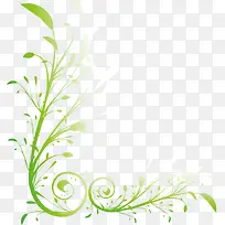 绿色春季树藤植物