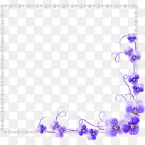 紫色兰花花朵边框纹理