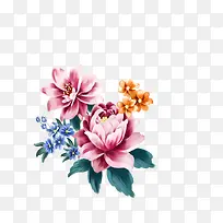 手绘的粉色花卉