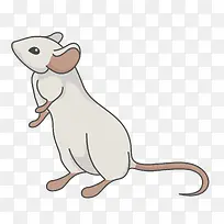 白色手绘卡通老鼠