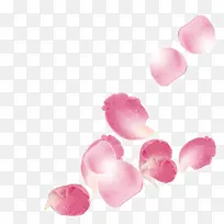 飘落的粉红色玫瑰花叶子
