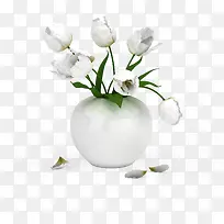 白色鲜花束