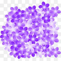 紫色清新花朵