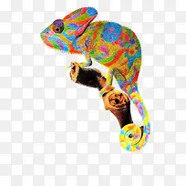 彩铅变色龙素材免扣PNG