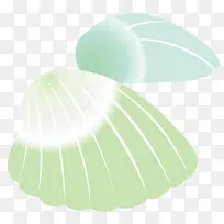 两个贝壳