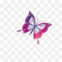 卡通紫色美丽的蝴蝶
