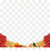 牡丹花