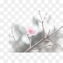 春天 草地 桃花 梨花 渐变透明元素21