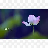 踏青--不染