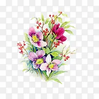 一簇含笑花图片素材