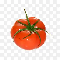 一颗超大的西红柿设计素材