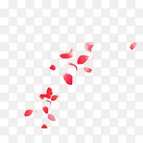 散落的红色花瓣