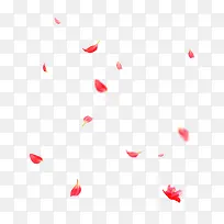 红色散落的花瓣免抠素材