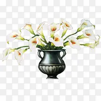 复古花瓶中的白色马蹄莲
