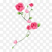 手绘粉色的玫瑰花免抠图