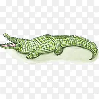 手绘风格浅绿色鳄鱼