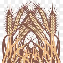 卡通麦穗植物手绘图