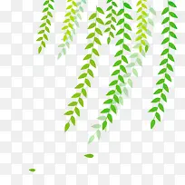 清明节水墨风柳叶柳枝
