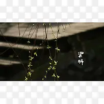 春天 四月 清明节 青团 海报 背景31