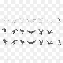 3种效果线稿黑白鸟类动物