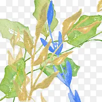 新颖叶子手绘水彩植物叶子图案素