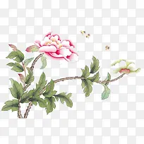 牡丹