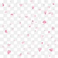 漂浮飞舞粉红花瓣