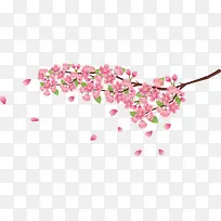 粉色美丽春季花枝