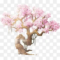 桃树素材，图案元素，几何元素，png元素