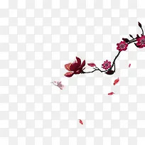 一枝木棉花