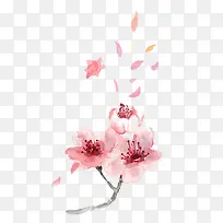 清新粉色散开的花瓣和花免抠图