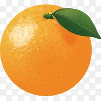 手绘美味水果橘子矢量素材