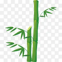 矢量图绿色自然竹子