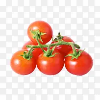 水果之小番茄